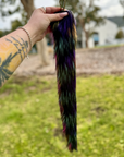Black Rainbow Tail