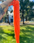 Orange Tail