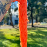 Orange Tail