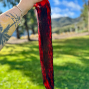 Red & Black Ombré Tail