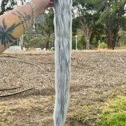 Grey White Frosted Tail