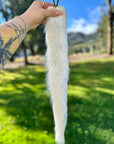 Husky White Tail