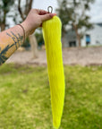 Bright Yellow Tail