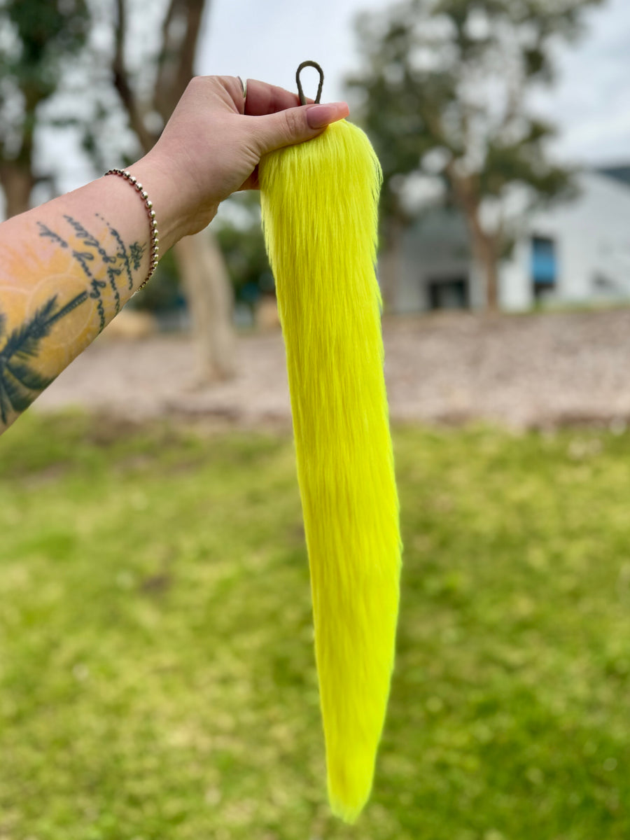 Bright Yellow Tail