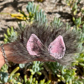 Mink Baby Ears